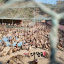 대장군농장 이미지