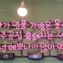 제주곰집 이미지