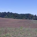 세화리 태양광발전소 이미지