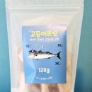 바다고양이식탁 이미지