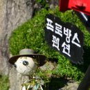 강촌프로방스 이미지