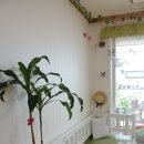 여름식물 인테리어 이미지