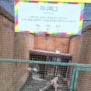 모여라 농장