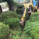 외서초등학교 이미지