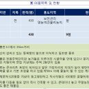 뉴홍천공인중개사 이미지