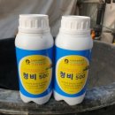 청비농장 네이버블로그