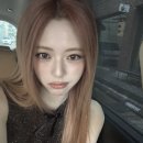 예쁘다 개 이미지
