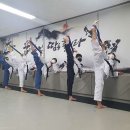 성신 태권도 이미지