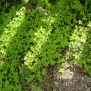 희정이네농장 이미지