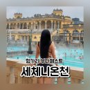 베스트썬렌탈 | 부다페스트 세체니온천 입장권 준비물 이용방법 가는법