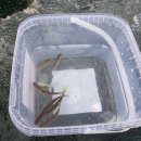 초정낚시터 이미지