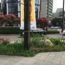 서초역 1번출구앞 교통섬 이미지