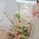 남산데이지