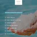 케드마 - 광명시 일직로 43 | 케드마