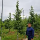 진등농장 이미지