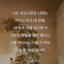 자족의 근원 -요15:4~5 이미지