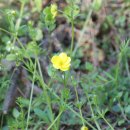 봄의기운 이미지