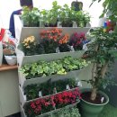 장톡스까페 이미지