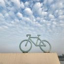 팽성대교 쉼터 | 평택호 라이딩 즐기러 가 봅시다