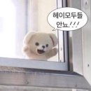 혁신온누리약국 | 올해 트렌드는 웰니스! 올리브베러에서 찾은 미네랄워터 태초수 정착 후기