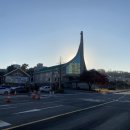 삼육정문약국 이미지