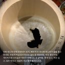농업회사법인 통 주식회사 이미지