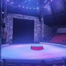 당진월드아트서커스 | 당진 월드아트서커스] 가족과 함께 즐긴 환상적인 공연