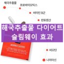 해국 | 슬림웨이 다이어트 내돈내산 후기 해국 추출물 다이어트 효능