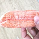 스노우랩