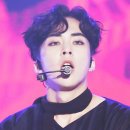 모야 이미지