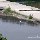 두루미 농원 이미지