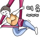 집에서 따라할 수 있는 소도구 필라테스 네이버블로그