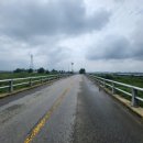 성환천 억새길 이미지