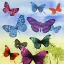 플러스컴퓨터 이미지