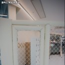 플렉스 복싱 킥복싱 이미지