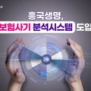 흥국생명 이미지