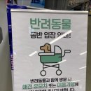 곰이약국 이미지