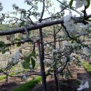 온곡마을 이미지