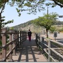 경기둘레길 시흥52코스 이미지