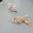 말랑말랑 이미지