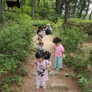 5.19 올챙이 연못 나들이, 산딸나무 꽃잎 살펴보기 이미지