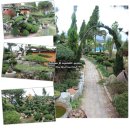 들꽃정원민박 이미지