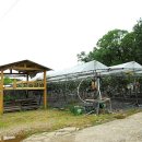 안골길 7 이미지