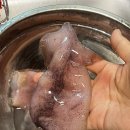 바다별키트