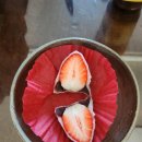 목포과일모찌 | 491번째, 목포 원도심에서 발견한 과일 속옷 입은 떡 😂 목포과일모찌를 만나다.