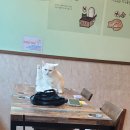 떡전골로 이미지