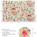 플라로사 이미지