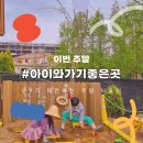 펠리시떼 이미지