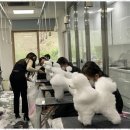 아르테미스학원 이미지