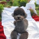 LIKE FRISE 이미지